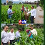 कृषि विभाग ने मक्की में फॉल आर्मीवर्म के खतरे पर बढ़ाई निगरानी किसानों के लिये एडवाइजरी जारी।